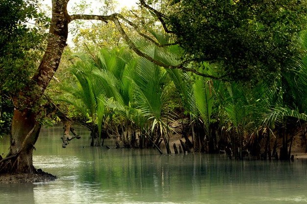 Sunderban Manas Nameri Kaziranga Tour main