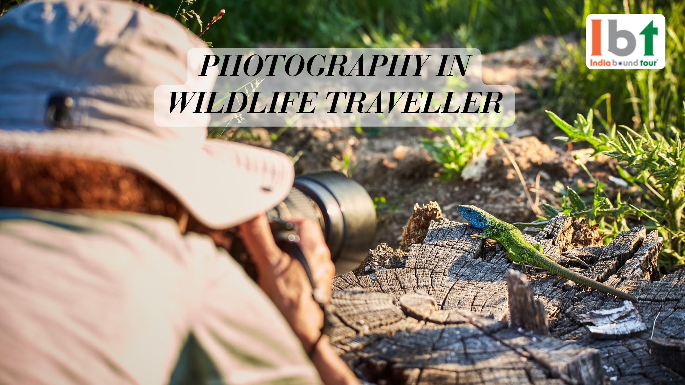 Photography in Wildlife Traveller