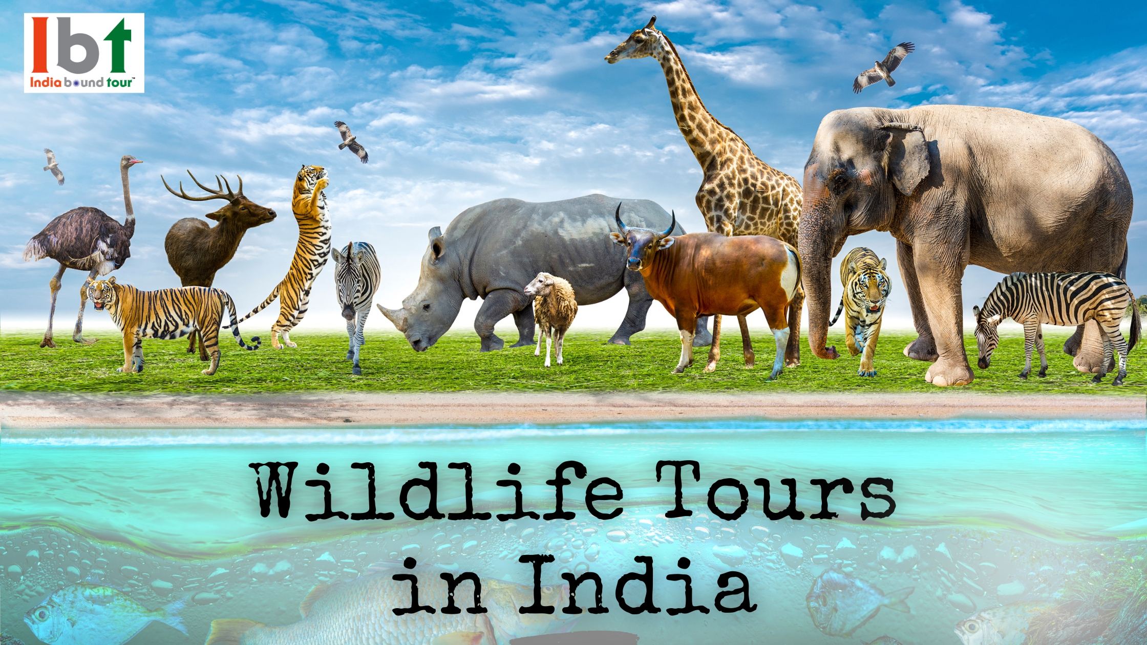 Wildlife Tours in India